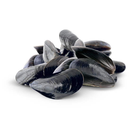 Moules