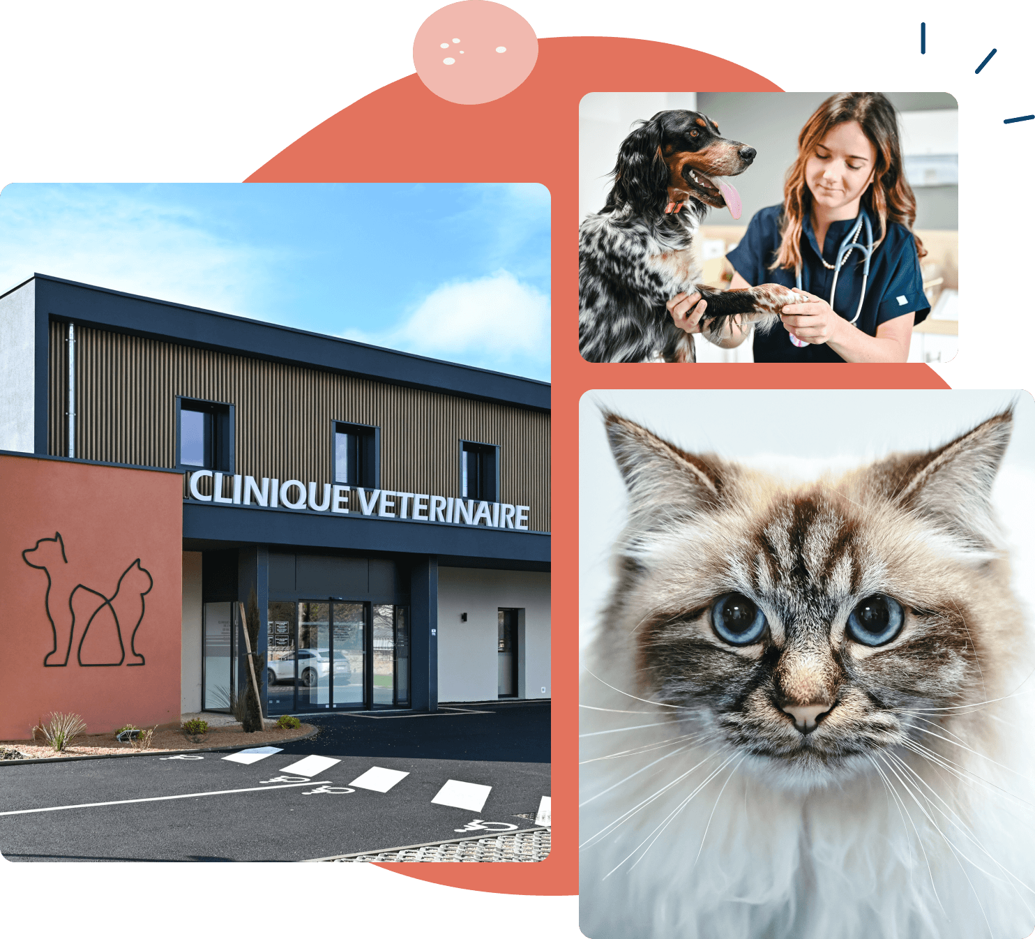 Clinique vétérinaire de l'Héritan