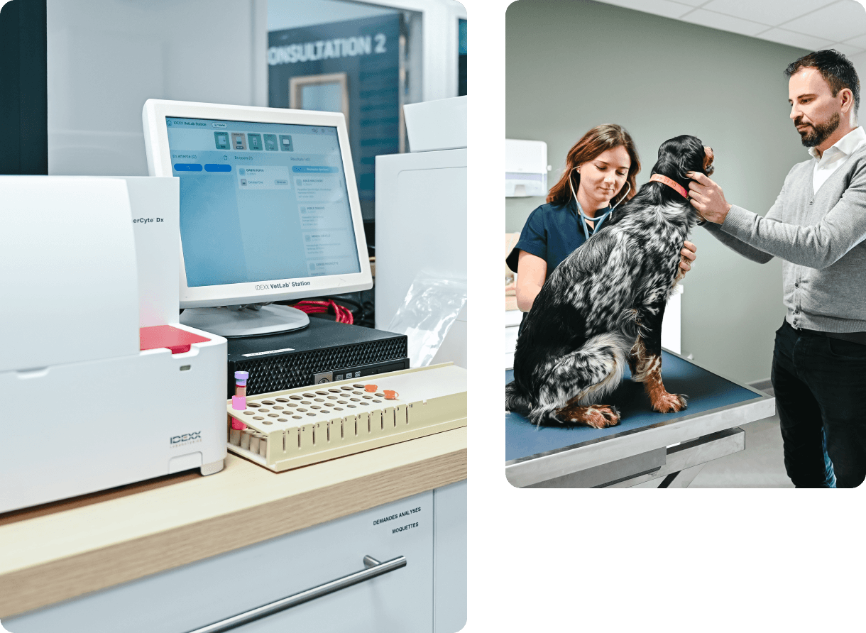 Médecine générale et interne