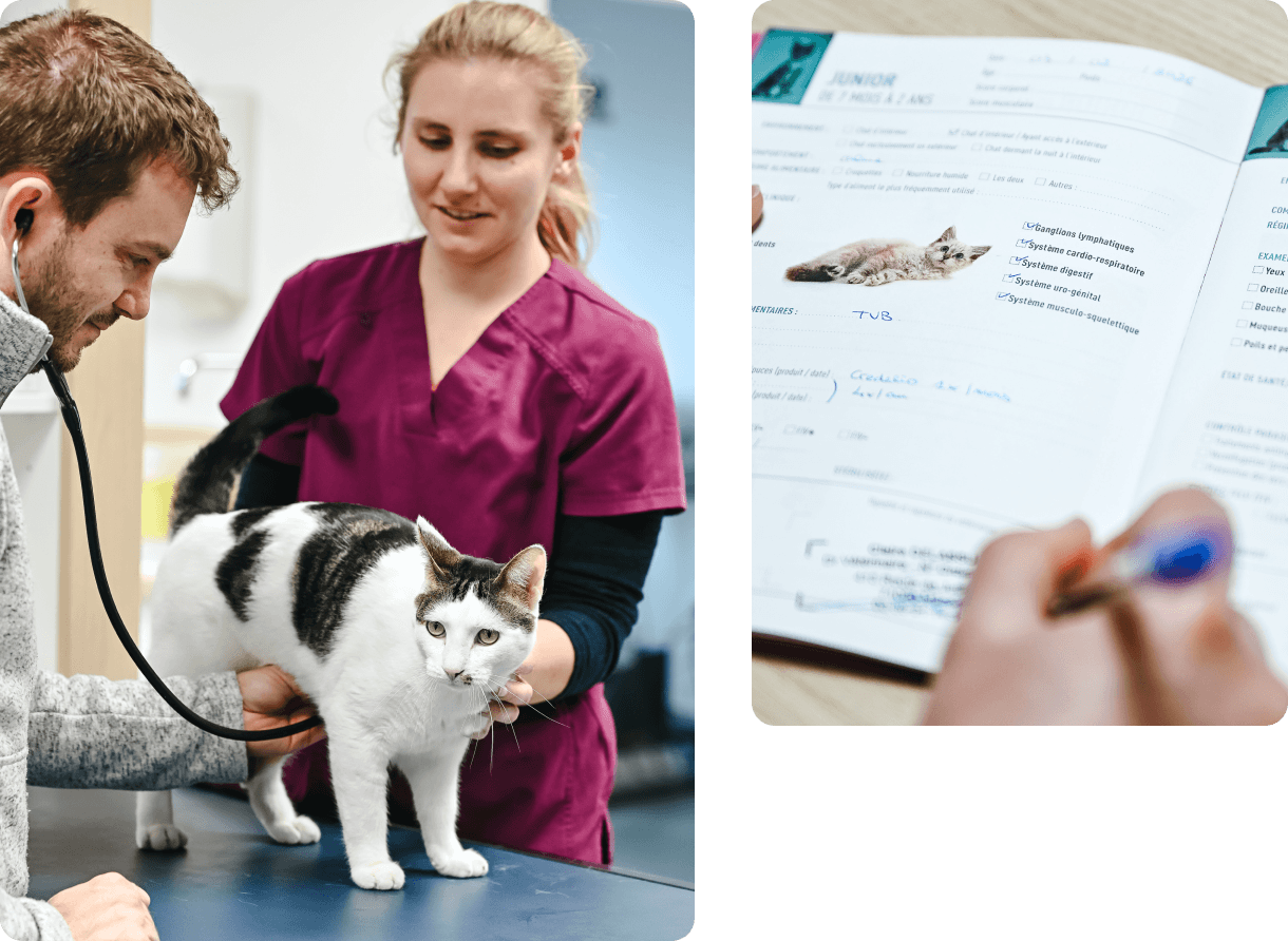 Médecine préventive