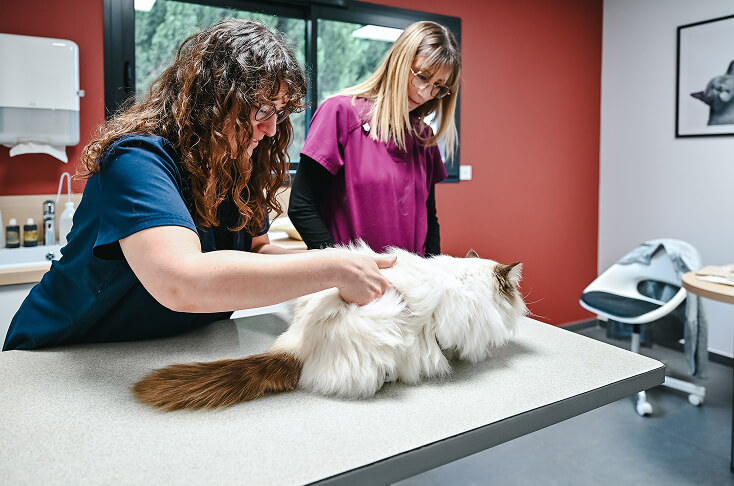 Salle de consultation